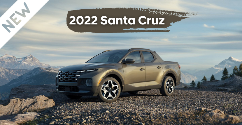 Celebrate The New Santa Cruz