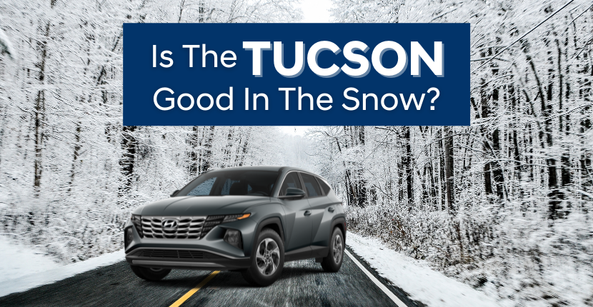 Tuscon-in-snow-kenosha